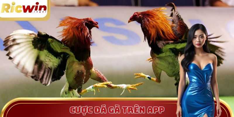 Đặt cược trên ứng dụng giúp các game thủ tiết kiệm thời gian